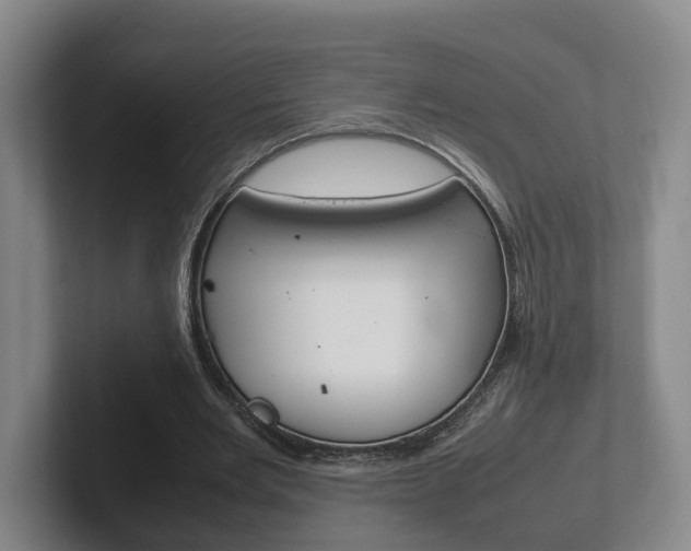 X0000102270485200807250901