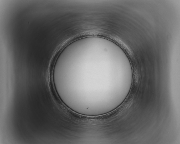 X0000102270486200807250901