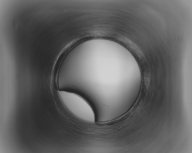 X0000102270488200807250901