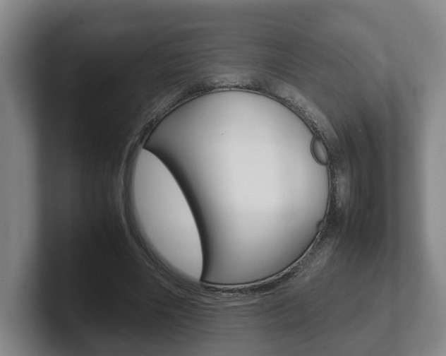X0000102270490200807250901