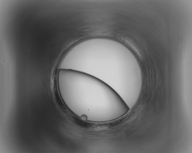 X0000102270491200807250901