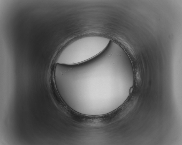 X0000102270492200807250900