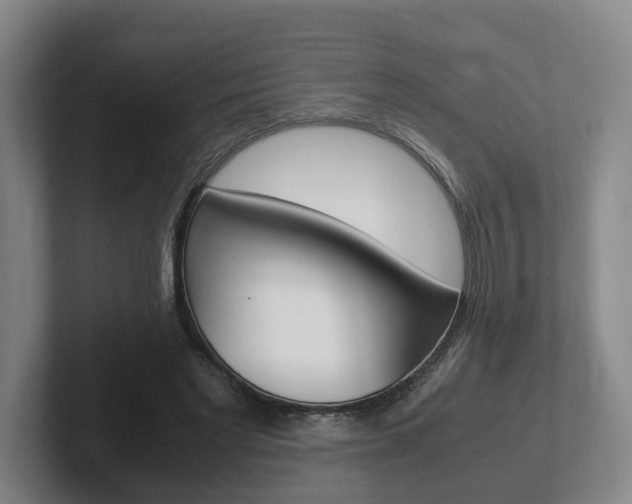 X0000102270493200807250900