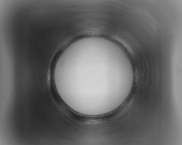 X0000102270494200807250900