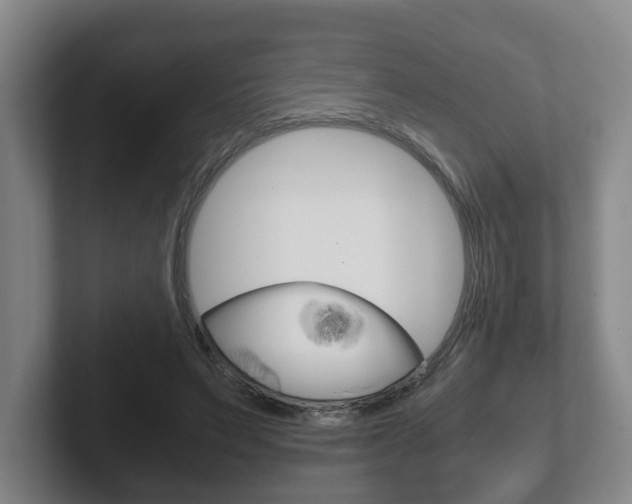 X0000102270495200807250900