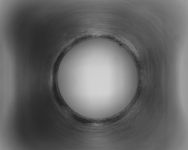 X0000102270496200807250900