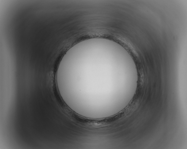 X0000102270498200807250900