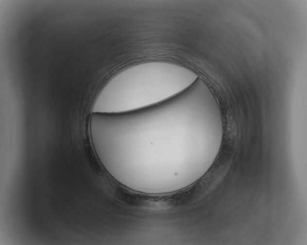X0000102270502200807250900
