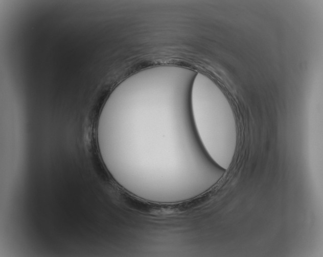 X0000102270503200807250900