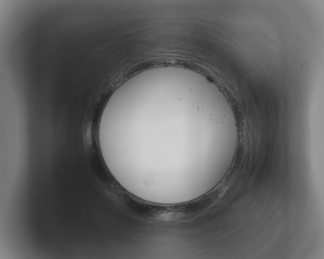 X0000102270504200807250900