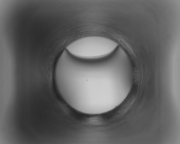X0000102270505200807250900