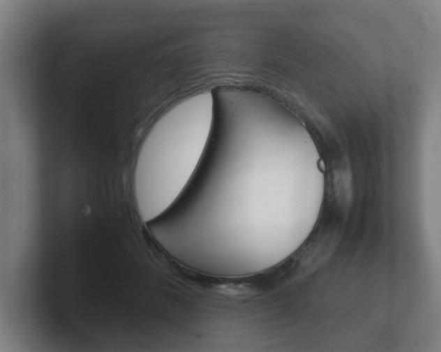 X0000102270508200807250900