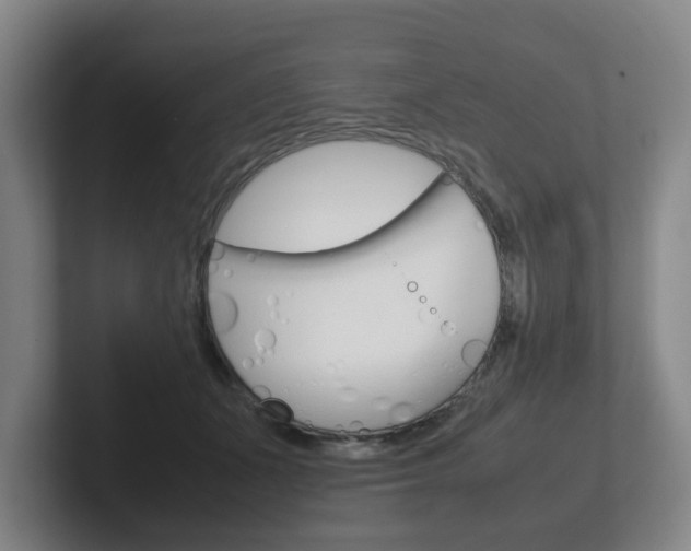 X0000102270511200807250900