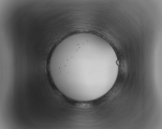 X0000102270512200807250900