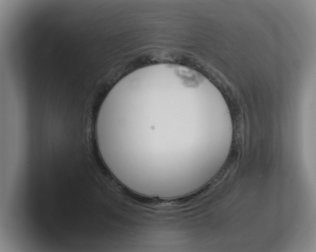 X0000102270513200807250900