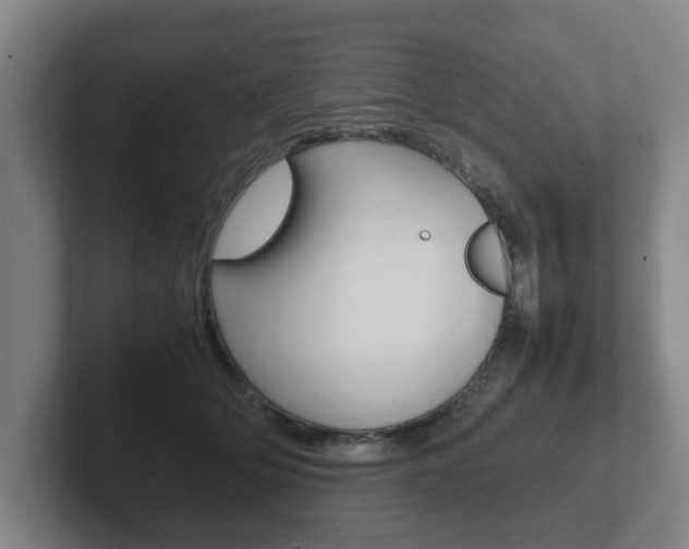 X0000102270514200807250900