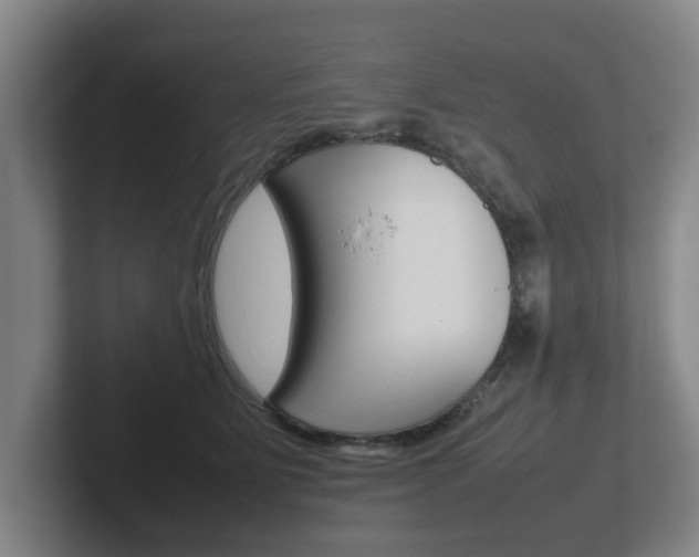 X0000102270515200807250900