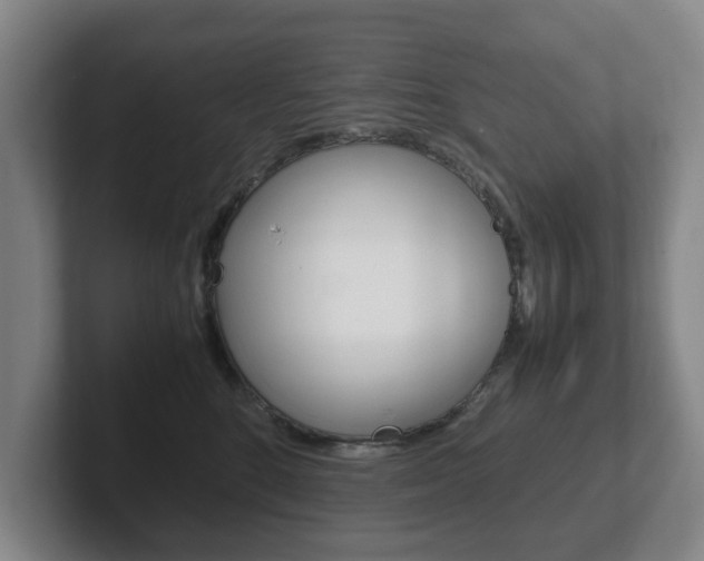X0000102270520200807250900