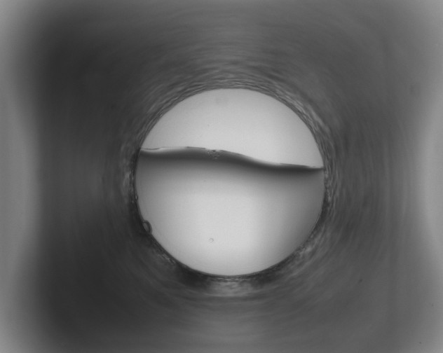X0000102270521200807250900