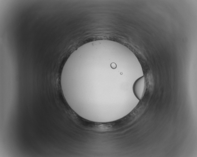 X0000102270522200807250900