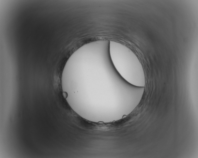 X0000102270523200807250900