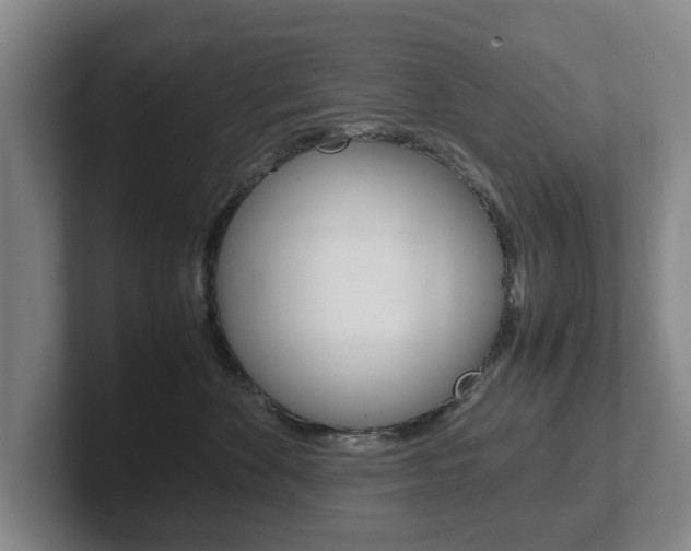 X0000102270524200807250900