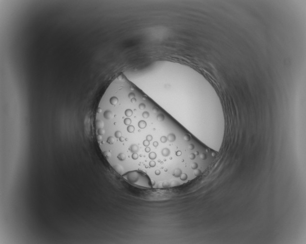 X0000102270527200807250900