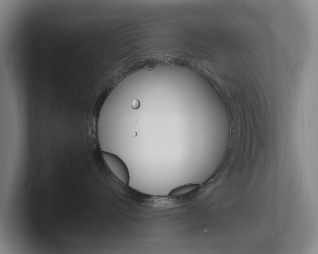 X0000102270528200807250900