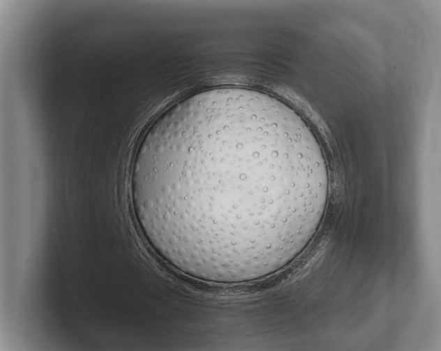 X0000102270529200807250859