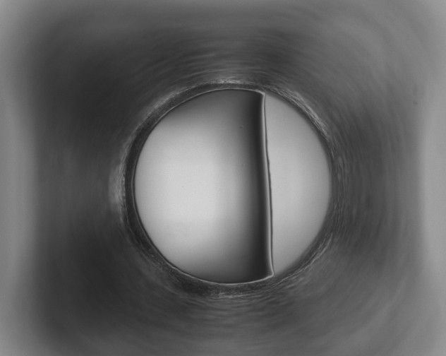 X0000102270531200807250859