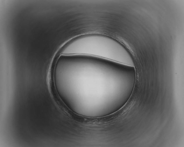 X0000102270532200807250859