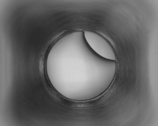 X0000102270533200807250859