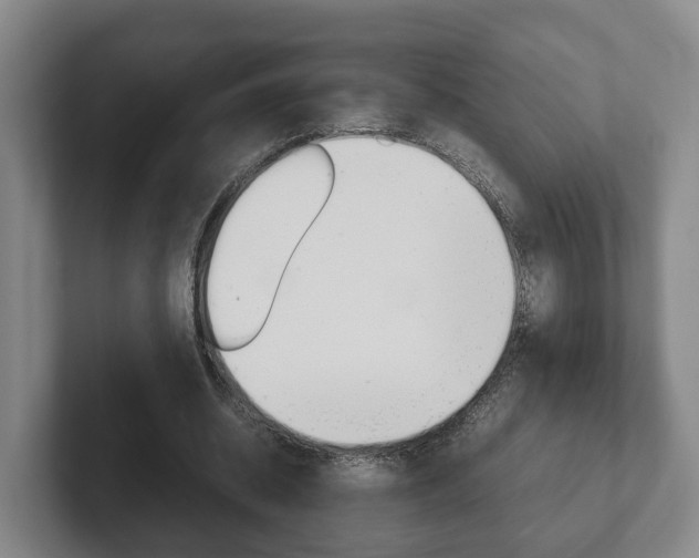 X0000102270534200807250859