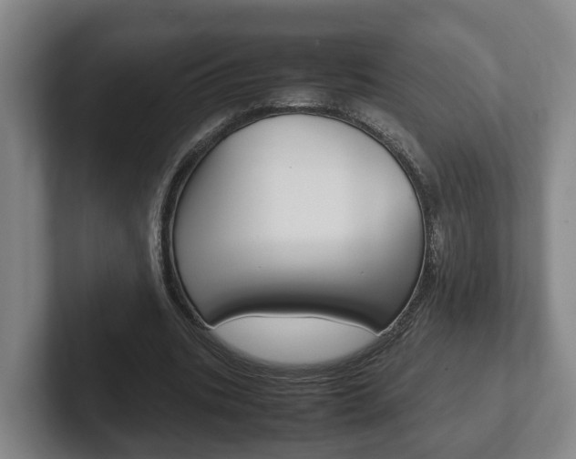 X0000102270535200807250859