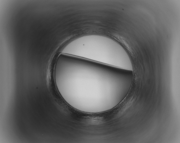 X0000102270539200807250900