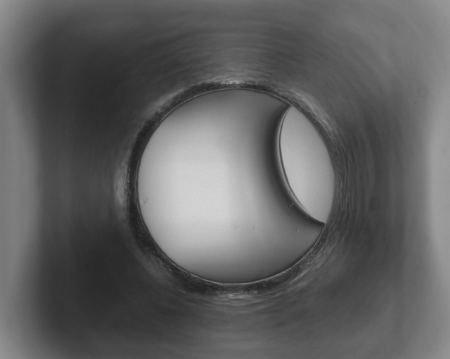 X0000102270540200807250900