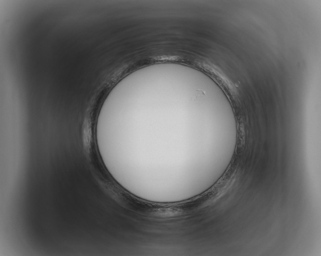 X0000102270541200807250900