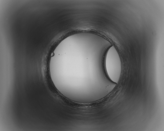 X0000102270544200807250900