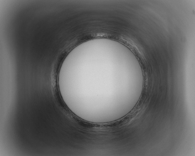 X0000102270545200807250900