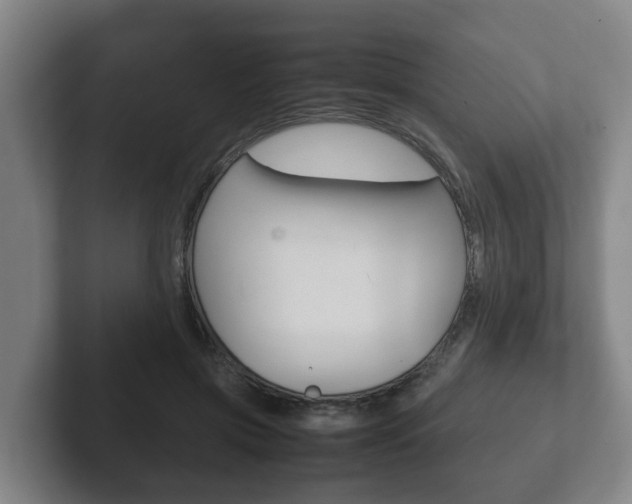 X0000102270549200807250900