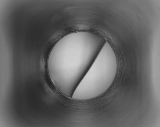 X0000102270550200807250900