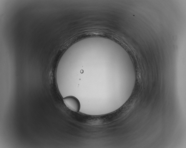X0000102270551200807250900