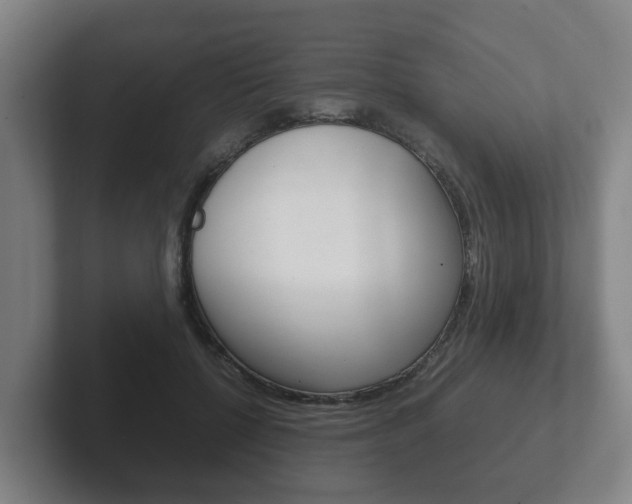 X0000102270552200807250900