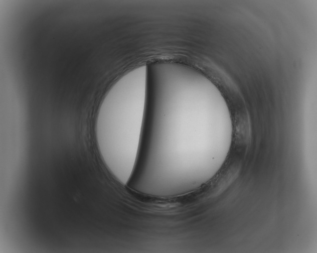 X0000102270555200807250900
