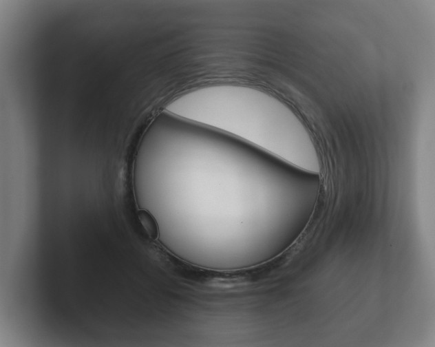 X0000102270556200807250900