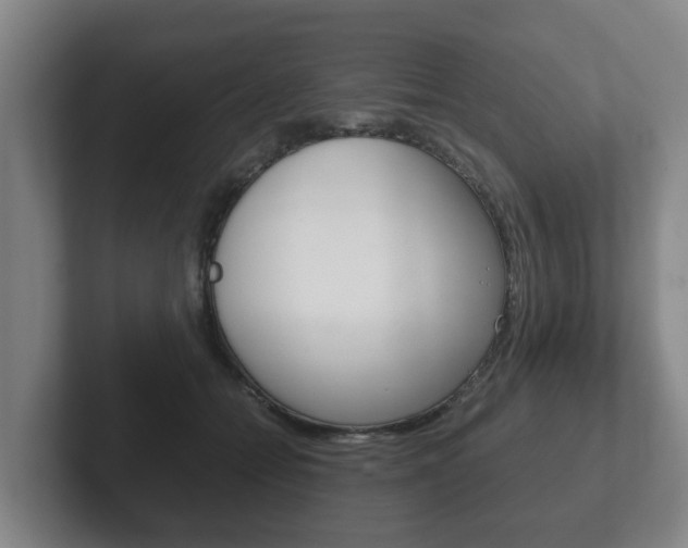 X0000102270558200807250900