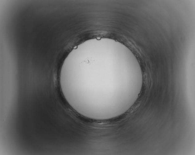 X0000102270564200807250900