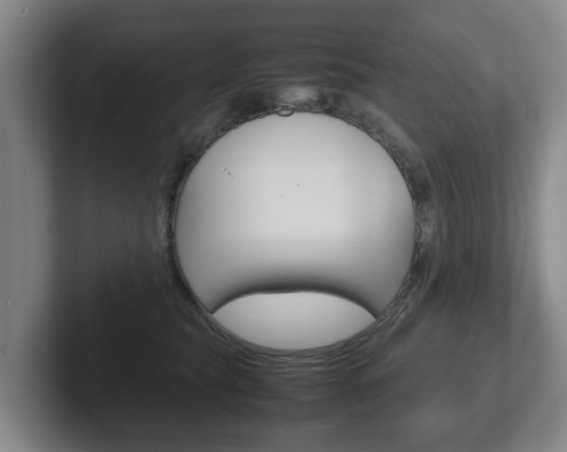 X0000102270565200807250900