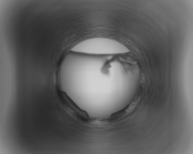 X0000102270568200807250900