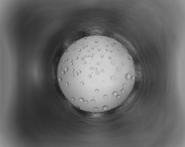 X0000102270573200807250900